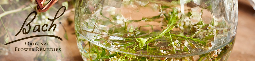 Bachblüten und Rescue-Blütenelixiere: Stress, Angst, Schlaflosigkeit