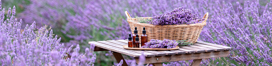 Essentiële oliën en aromatherapie - Herboristerie du Valmont