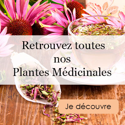 Découvrez nos Plantes Médicinales de l'Herboriste