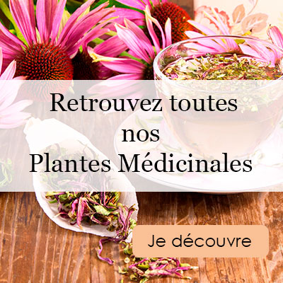 Infusion et tisane ayurvédique : tous leurs bienfaits