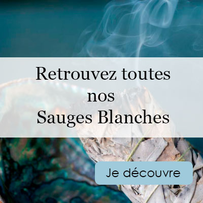 Découvrez toutes nos smudges, bâtons, baguettes d'encens, ... à la Sauge Blanche Amérindienne