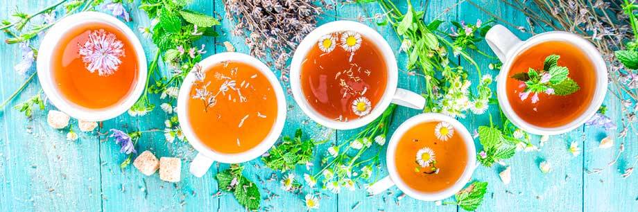 Queues de cerises  Infusion et tisane aux bienfaits multiples