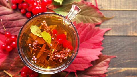 Quelle est la meilleure tisane minceur + 3 recettes spéciales