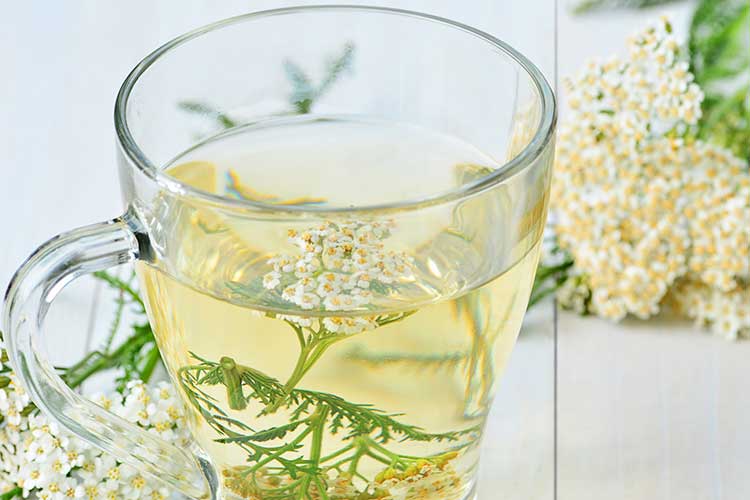 Tasse de tisane d'achillée millefeuille