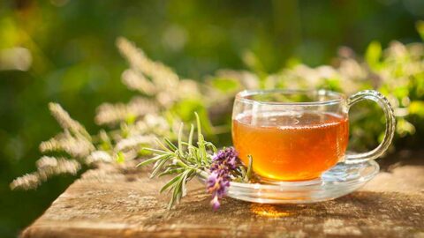 Tasse de tisane d'agripaume