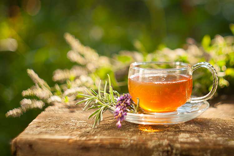 Tasse de tisane d'agripaume