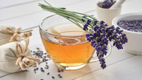 Tasse de tisane pour la cellulite aqueuse