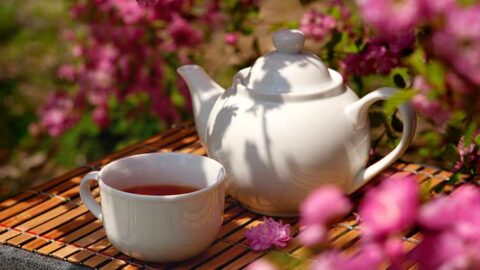 Tasse de tisane contre l'acné