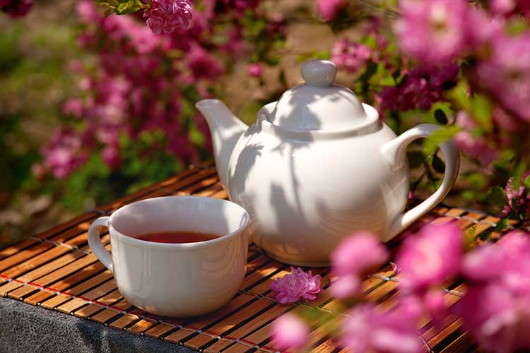 Tasse de tisane contre l'acné