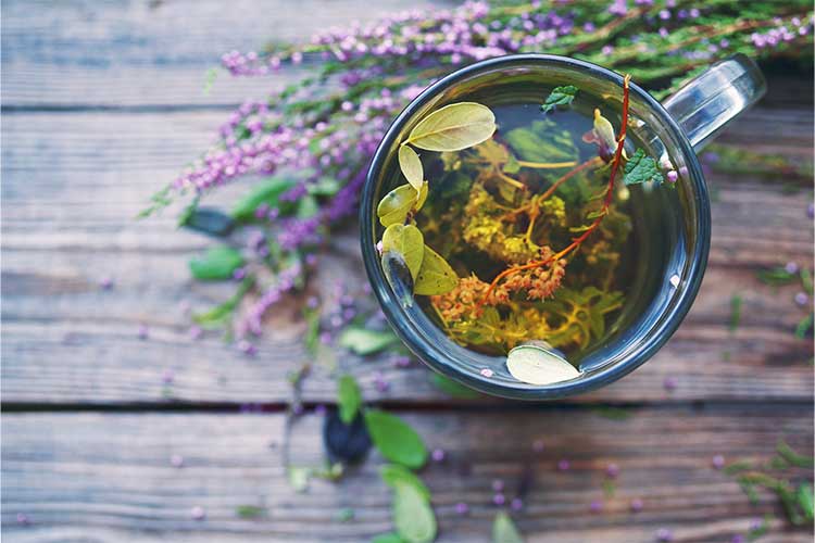 Tasse de tisane contre la cystite