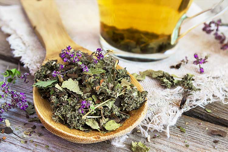 Tasse de tisane d'angélique chinoise