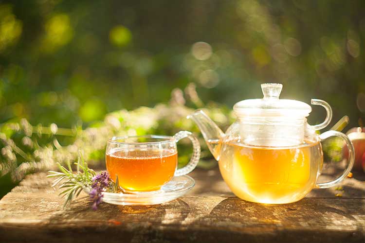 Tasse de tisane d'arrête de boeuf bugrane