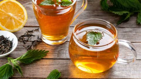 Tasse de tisane de feuilles d'ortie