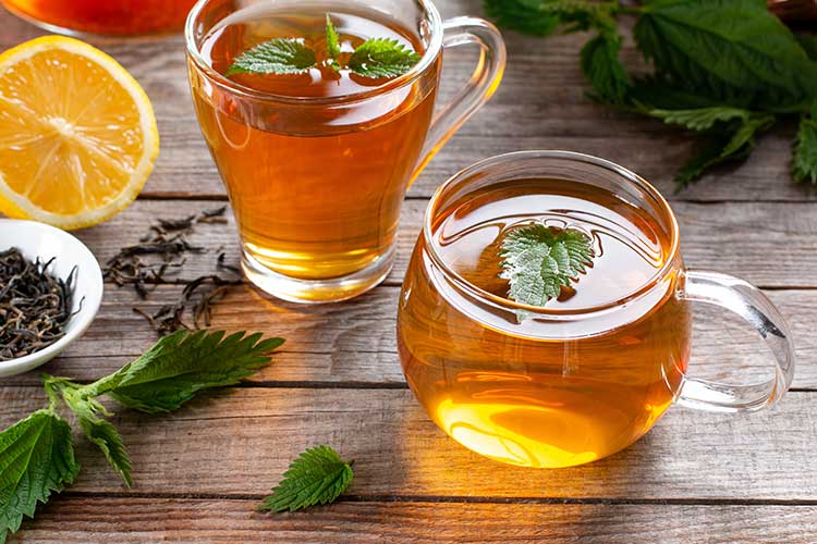 Tasse de tisane de feuilles d'ortie