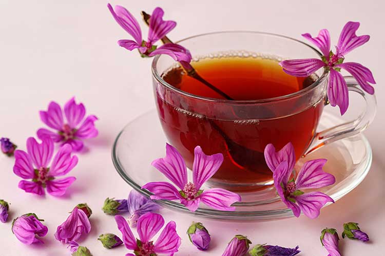 Tasse de tisane de fleurs de mauve