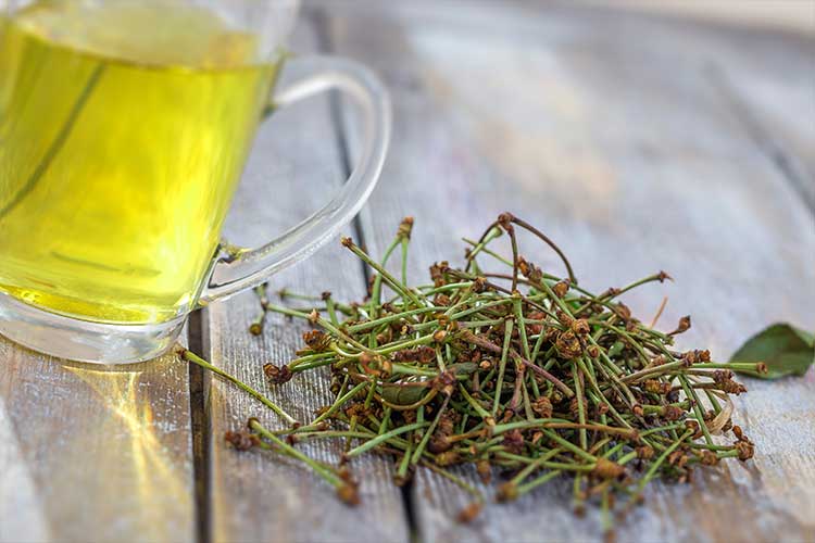 Tisane de queues de cerises