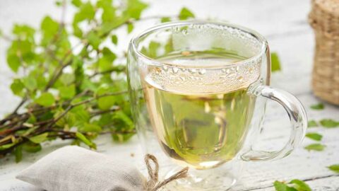 Tasse de tisane de feuilles de bouleau