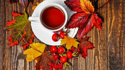 Tasse de tisane de vigne rouge