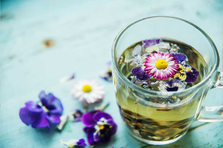 Tasse de tisane de pensée sauvage