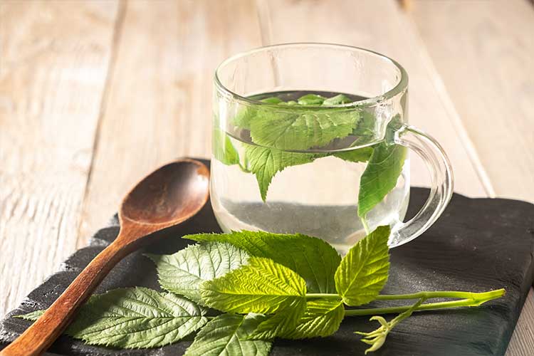 Tasse de tisane de frêne