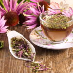 tasse de thé échinacée tisane fleurs plantes