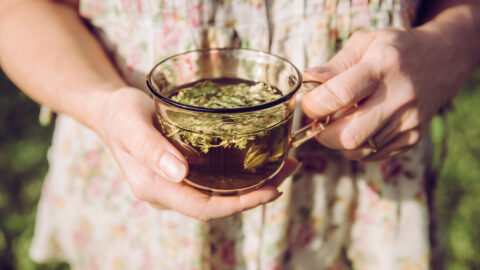 tasse de thé feuilles épimède tisane