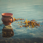 tisane fucus tasse de thé infusion