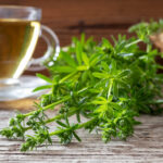 tisane gaillet tasse de thé plante feuille