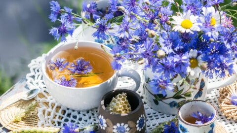 tasse de thé bleuet