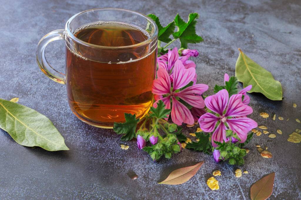 tasse de thé mauve toux sèche