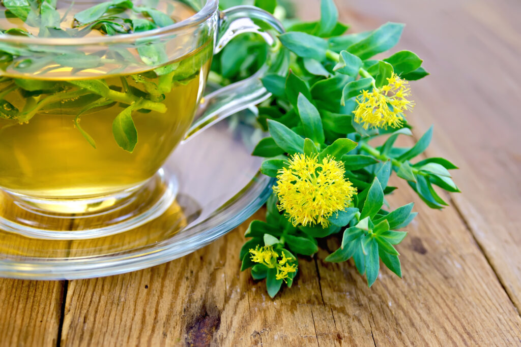 tisane Rhodiola rosea fleurs infusion tasse de thé