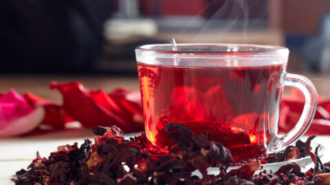 tisane hibiscus tasse de thé infusion