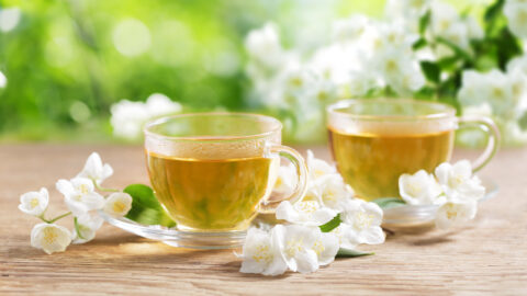 tisane jasmin tasse de thé infusion fleurs