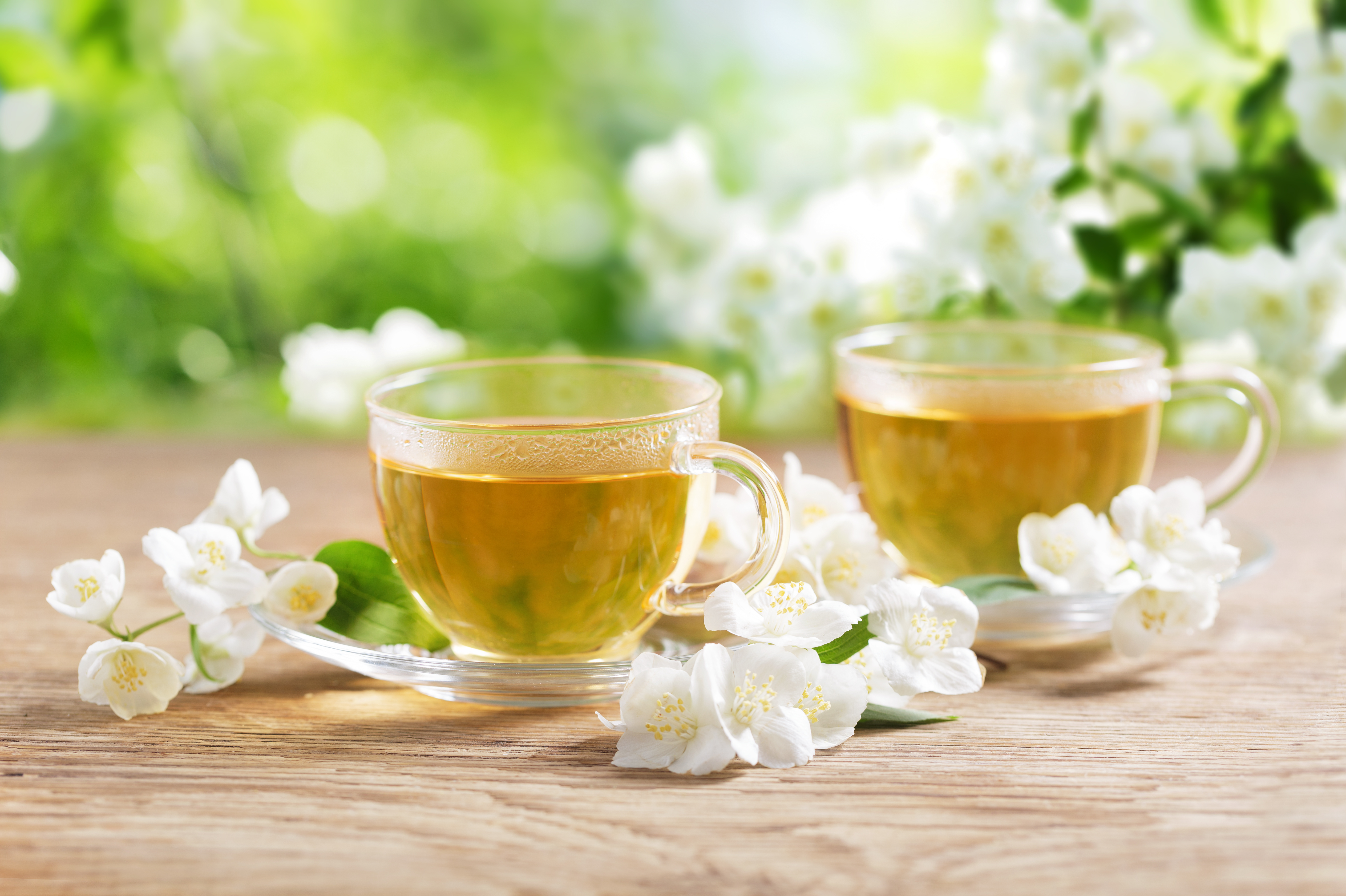 Arche de jasmin : vente en ligne de fleurs de thé au jasmin