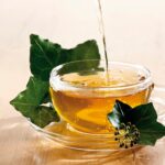 tisane lierre grimpant tasse de thé