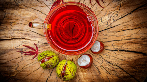 tisane marron d'inde fruit infusion