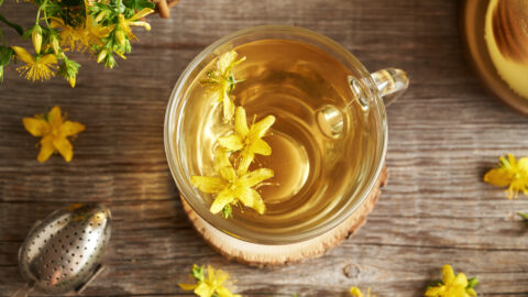 tisane millepertuis tasse de thé fleurs infusion