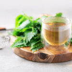 tisane ortie tasse de thé feuilles infusion