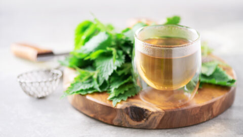 tisane ortie tasse de thé feuilles infusion