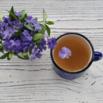 tisane petite pervenche tasse de thé fleurs