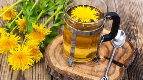 tisane pissenlit tasse de thé fleurs infusion