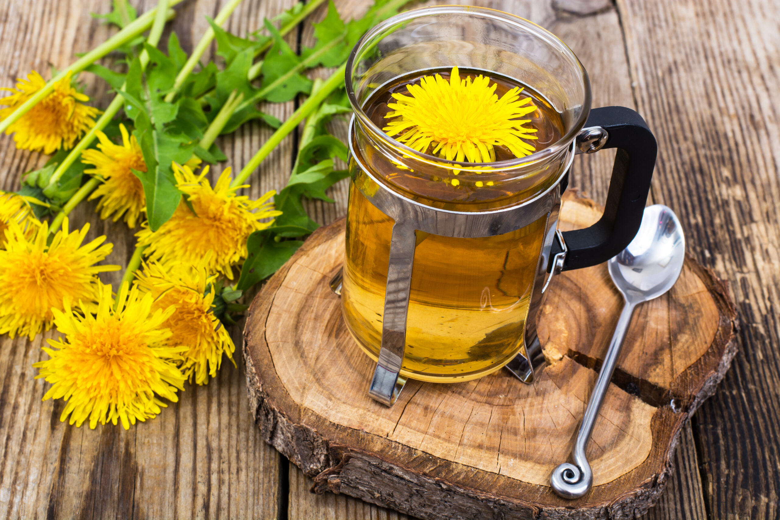 Recette : Tisane Pissenlit