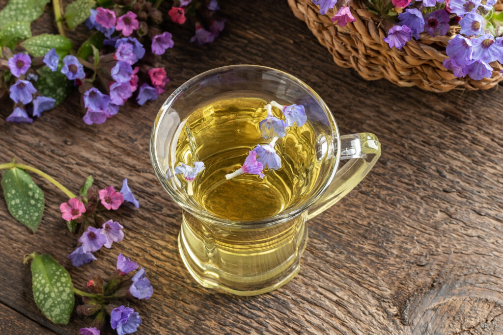 tisane Pulmonaire Officinale infusion fleurs