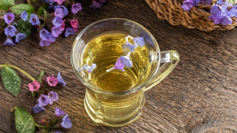 tisane Pulmonaire Officinale infusion fleurs