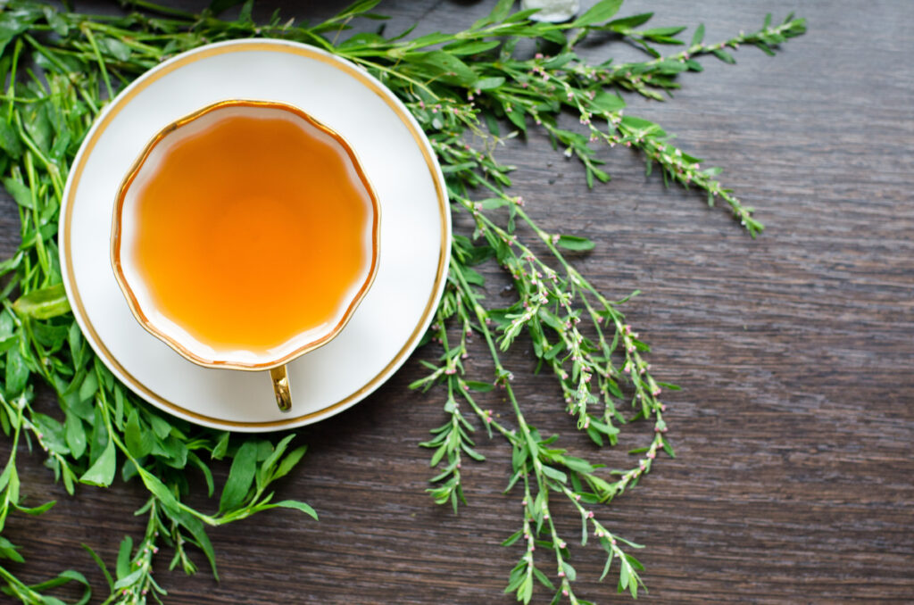 tisane renouée des oiseaux tasse de thé