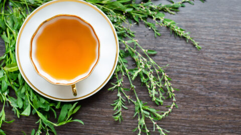 tisane renouée des oiseaux tasse de thé