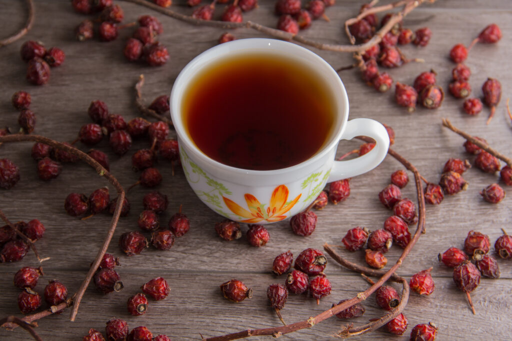 tisane Schisandra (Wu wei) tasse de thé