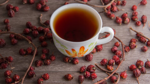 tisane Schisandra (Wu wei) tasse de thé