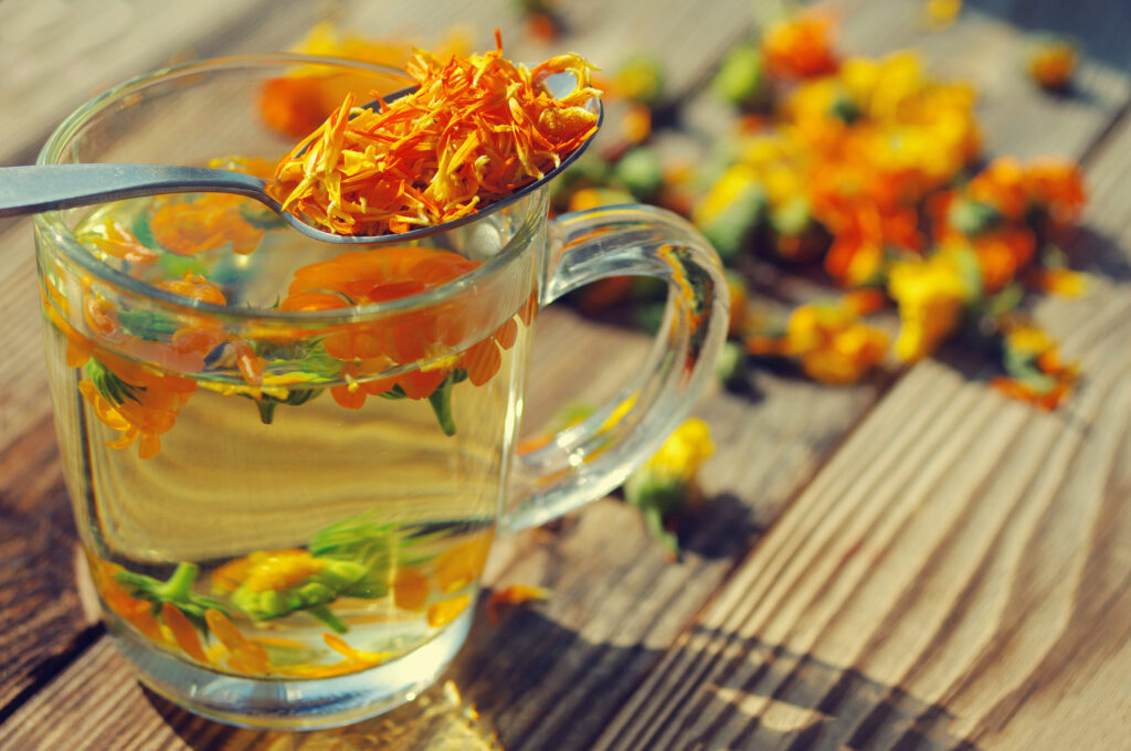 tisane souci fleurs infusion tasse de thé