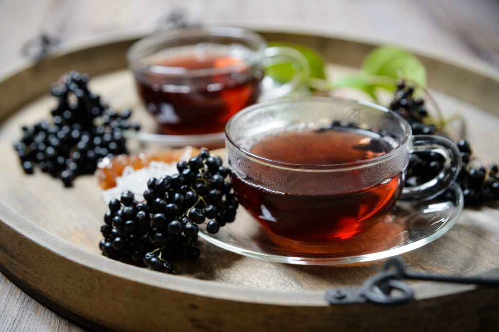 tisane sureau noir fruits infusion tasse de thé